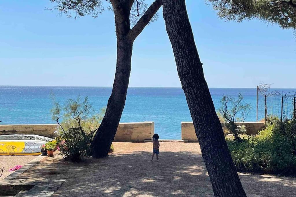 לה קיוטאט Cocon Les Pieds Dans L'Eau Acces Direct A La Mer מראה חיצוני תמונה
